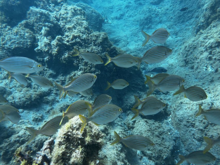 Abades: Guided Snorkeling Tour with Photos - Equipment, wetsuits, and leaving your stuff behind