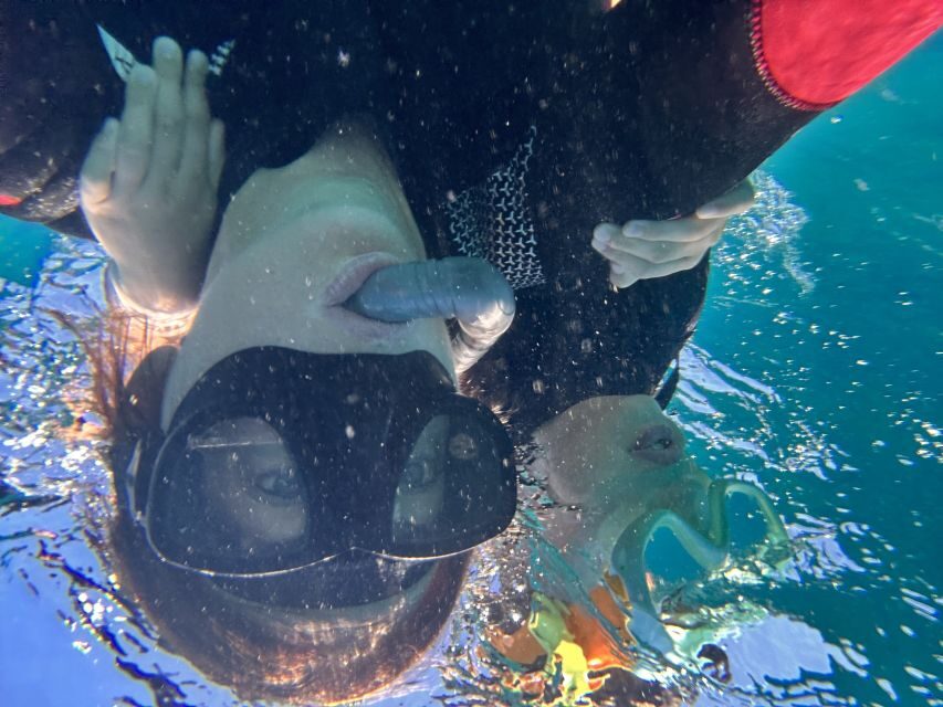 Abades: Guided Snorkeling Tour with Photos - What to bring (and what to think about before you go)