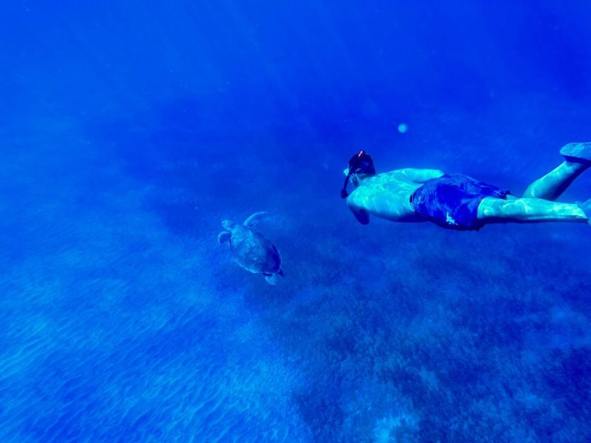 Abades: Guided Snorkeling Tour with Photos - Your 2 hours in the water: the snorkeling flow off the reef