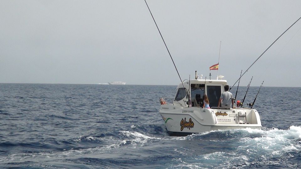 Adeje: 3.5–Hour Professional Fishing Experience - Key things to know before you go