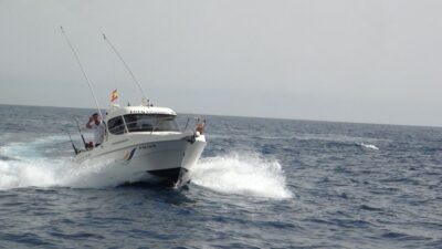 Adeje: 3.5–Hour Professional Fishing Experience - Trolling, tossing, bottom-fishing: your captain runs the rhythm