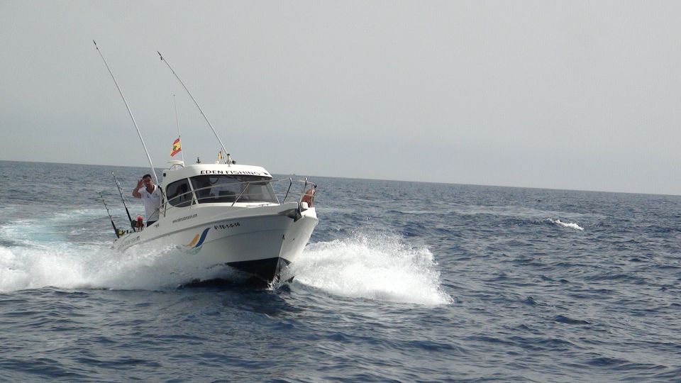 Adeje: 3.5–Hour Professional Fishing Experience - Trolling, tossing, bottom-fishing: your captain runs the rhythm