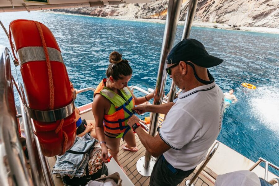 Adeje: Whale and Dolphin Watching Cruise with Lunch and Swim - Who this cruise suits best