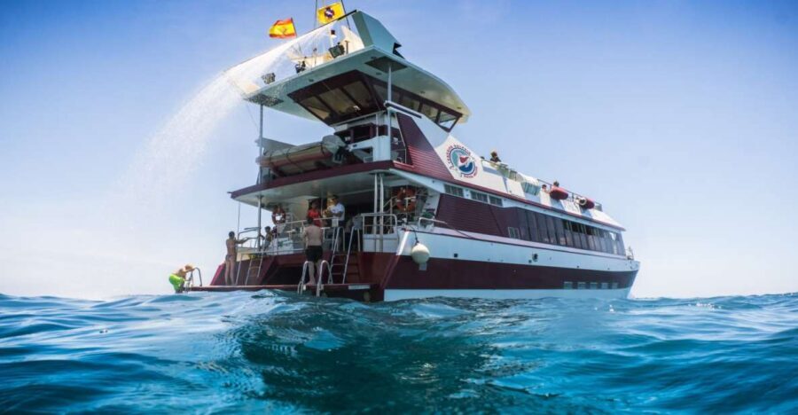 Adeje: Whale and Dolphin Watching Cruise with Lunch and Swim - Tenerife West Coast by Catamaran: why this cruise works