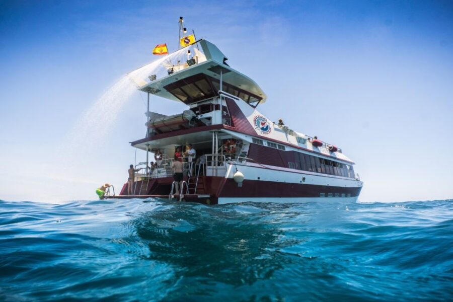Adeje: Whale and Dolphin Watching Cruise with Lunch and Swim - The submarine windows: seeing marine life without guessing