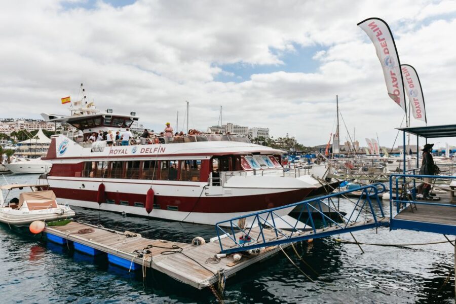 Adeje: Whale and Dolphin Watching Cruise with Lunch and Swim - Lunch and the swim stop: the best kind of break