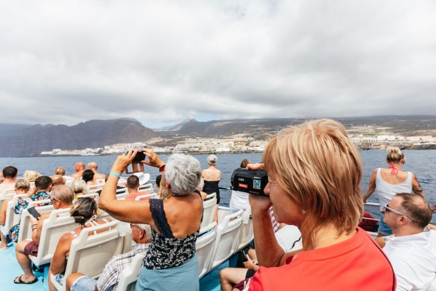 Adeje: Whale and Dolphin Watching Cruise with Lunch and Swim - Seasickness, timing, and what to pack