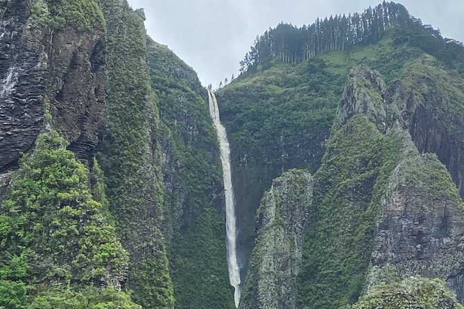 Adventurous Escape to Hakaui Valley - Key Highlights You’ll Actually Care About