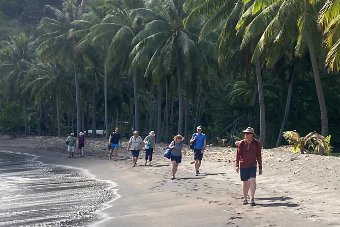 Adventurous Escape to Hakaui Valley - Entering Hakaui Valley: What This Day Trip Feels Like