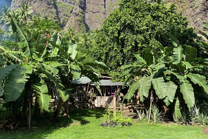 Adventurous Escape to Hakaui Valley - Hakaui Village at 9:30am: Real Life, Not a Quick Stop
