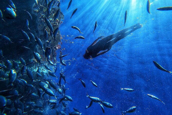 Afrikat Afternoon Cruise - A 2:30 pm Catamaran Break on Gran Canaria’s South Coast