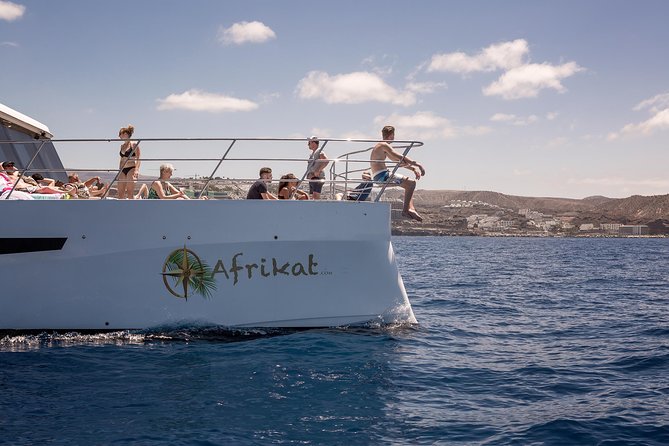 Afrikat Afternoon Cruise - Swimming and Snorkeling: The Included Water Time That Does the Job