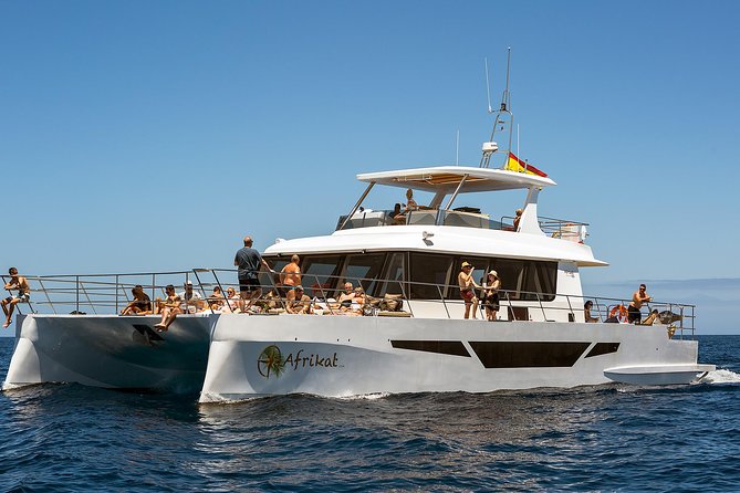 Afrikat Afternoon Cruise - Crew, Atmosphere, and the Little Extras That Lift the Trip