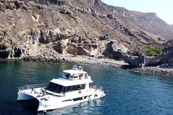 Afrikat Morning Cruise - Key highlights that actually matter