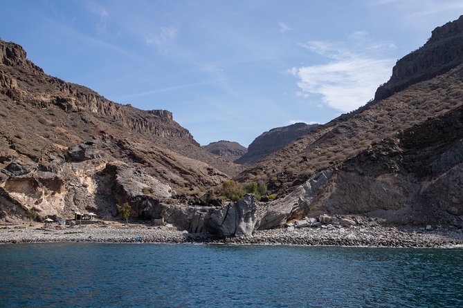 Afrikat Morning Cruise - Cruising the coast: what you’ll actually see from the deck