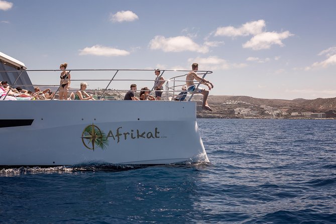Afrikat Morning Cruise - Lunch and drinks: what the onboard meal feels like in real life