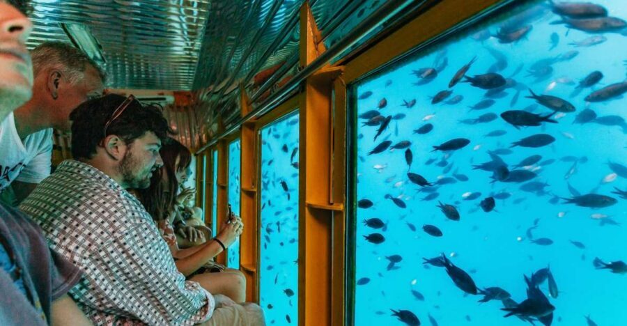 Agios Nikolaos: Semi-Submarine Cruise - Underwater Windows: How the Tour Actually Unfolds