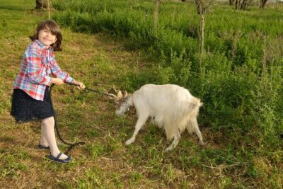 Alcamo Farm Animals and Aromatic Garden - Olive grove, vineyard, and citrus paths: what the walk is really for