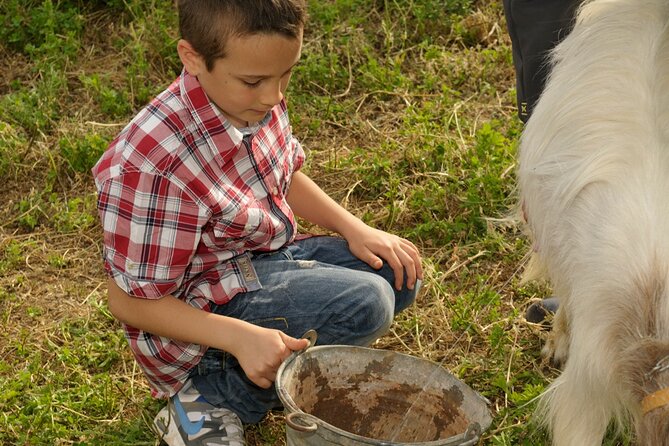 Alcamo Farm Animals and Aromatic Garden - Who should book this tour (and who might skip it)