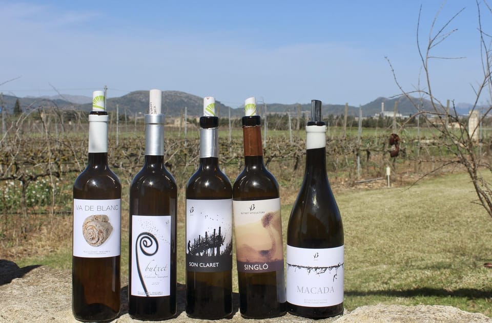 Alcúdia/Can Picafort: Guided Vineyard Visit and Wine Tasting - Getting from Alcúdia and Can Picafort to the winery