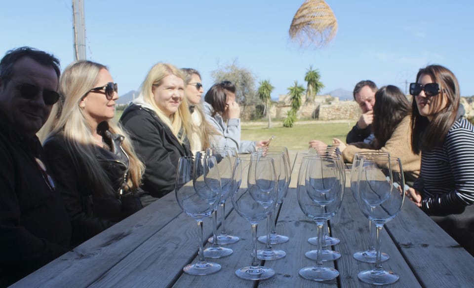 Alcúdia/Can Picafort: Guided Vineyard Visit and Wine Tasting - Walking the vineyards: terroir you can put into words
