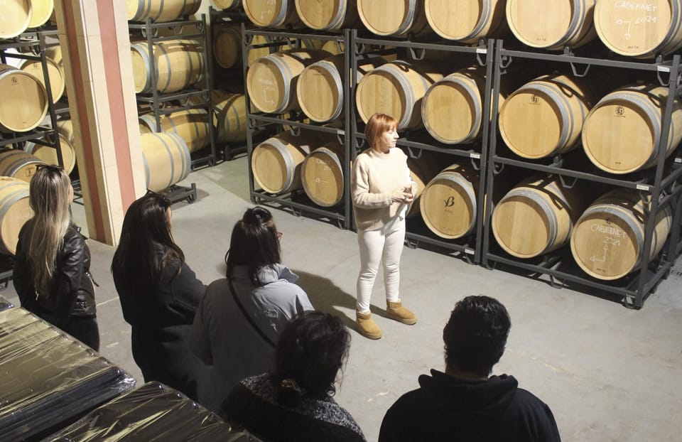 Alcúdia/Can Picafort: Guided Vineyard Visit and Wine Tasting - The tasting experience: five wines, guided aromas, local snacks