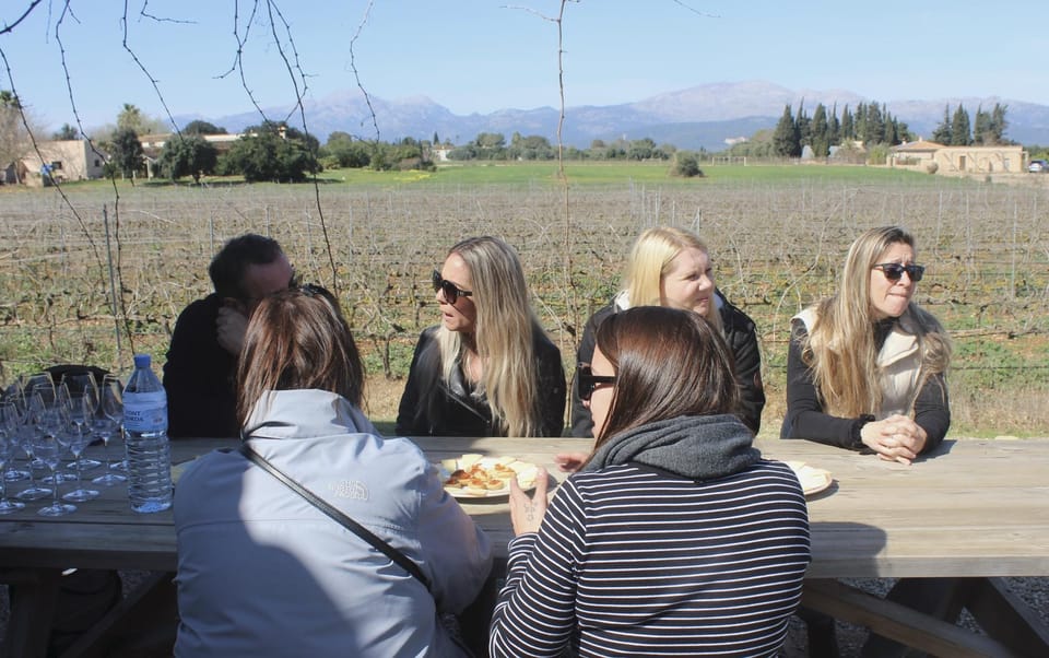 Alcúdia/Can Picafort: Guided Vineyard Visit and Wine Tasting - Language and group feel: English, German, and Spanish