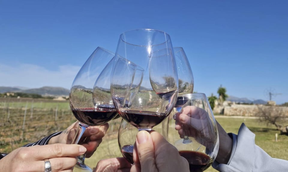 Alcúdia/Can Picafort: Guided Vineyard Visit and Wine Tasting - What the 2–4 hour schedule actually feels like