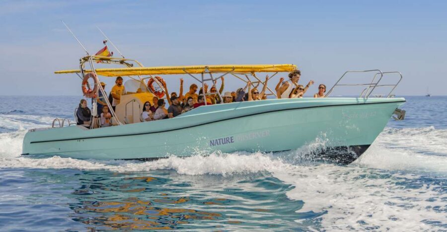 Alcudia: Coll Baix Beach & Sea Caves Cruise with Snorkeling - Alcúdia Pickup to the Port: Less Waiting, More Water Time