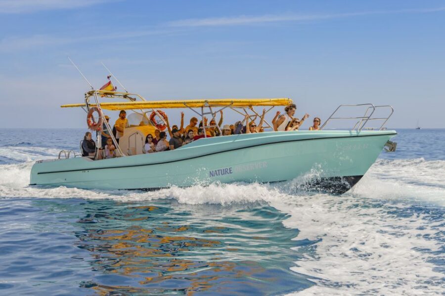 Alcudia: Coll Baix Beach & Sea Caves Cruise with Snorkeling - Sailing Toward Coll Baix: The Calm Part Before the Fun