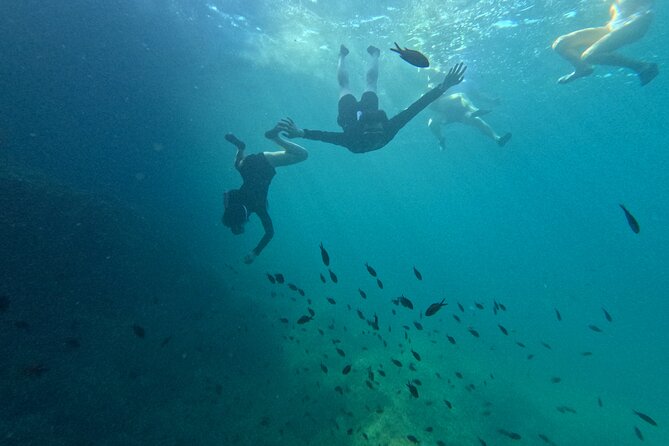 Alcudia: Guided Sea Kayaking & snorkelling Tour (day & sunset) - What Happens During the 2 Hours: Kayak, Cave Swim, Optional Jump