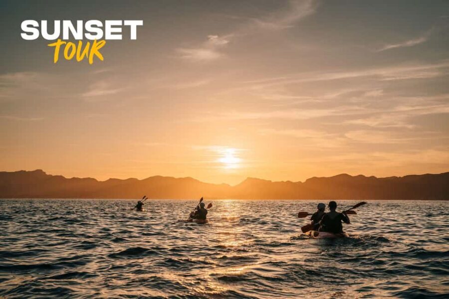 Alcudia: Guided Sea Kayaking Tour with Snorkeling - Meet at Alcúdia’s Camí Vell de la Victòria: logistics that actually matter