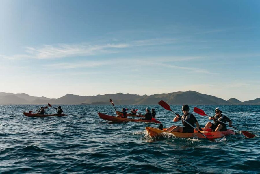 Alcudia: Guided Sea Kayaking Tour with Snorkeling - Cave swimming and scenic moments: when the day gets more adventurous