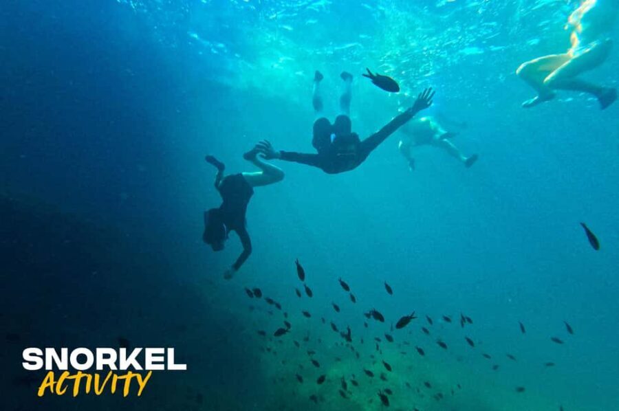 Alcudia: Guided Sea Kayaking Tour with Snorkeling - First-time friendly: how you learn kayak control without drama