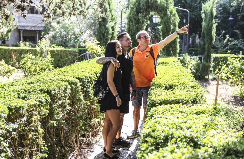 Alcudia/Marratxi: Valldemossa & Soller Tour by Tram & Bus - Price, Timing, and How to Stay Comfortable All Day