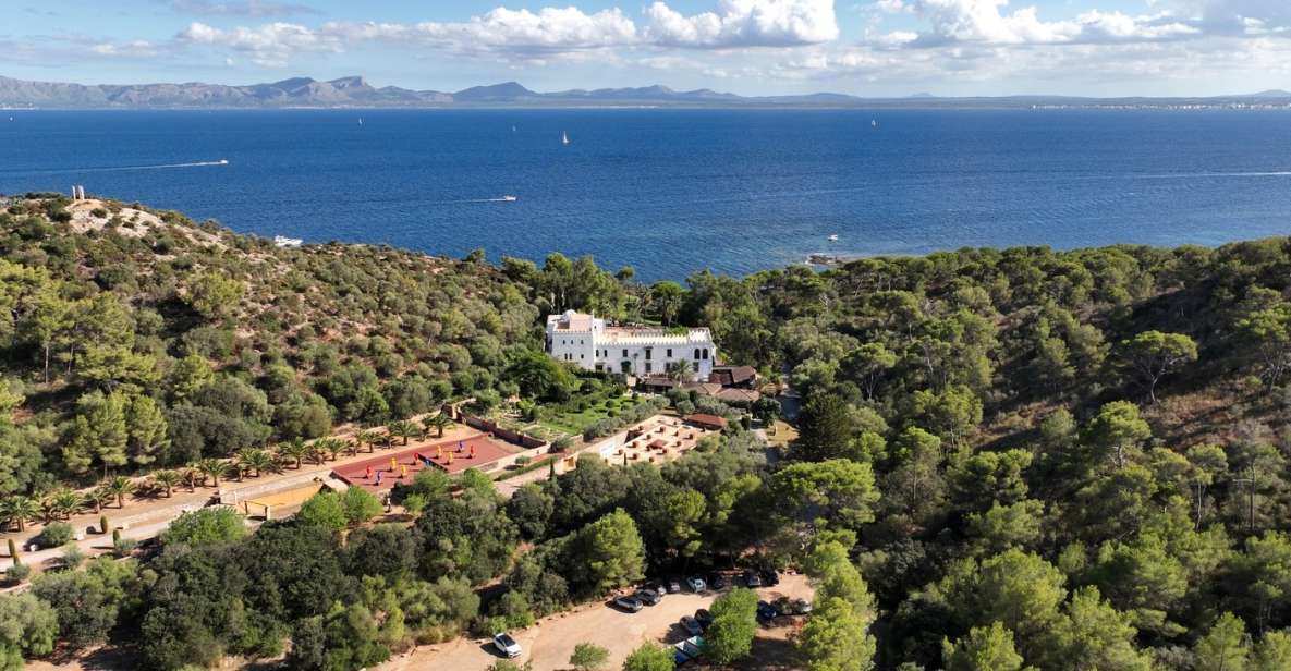 Alcudia: Museum Sa Bassa Blanca Entry Ticket - Key highlights you’ll actually care about