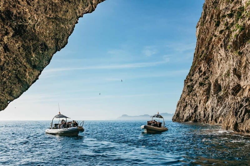 Alcudia or Can Picafort: Dolphin-Watching Cruise - Getting To Alcudia Sea Explorer: Pickup Options and the 15-Minute Rule