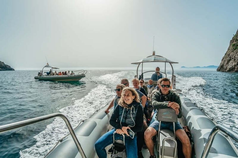 Alcudia or Can Picafort: Dolphin-Watching Cruise - Ride Comfort Tips: Jackets, Sun Protection, and Motion-Sickness Prep