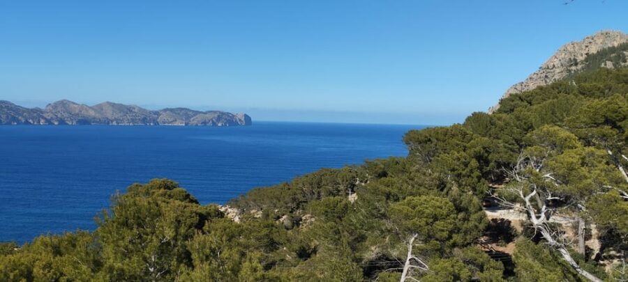 Alcudia: Quad Sightseeing Tour with Viewpoints - Quads, Comfort, and Photo Timing: What to Expect From the Ride