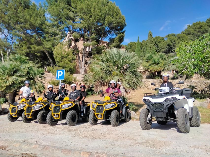 Alcudia: Quad Sightseeing Tour with Viewpoints - Getting Ready: License, Footwear, and That Quick Ride Lesson