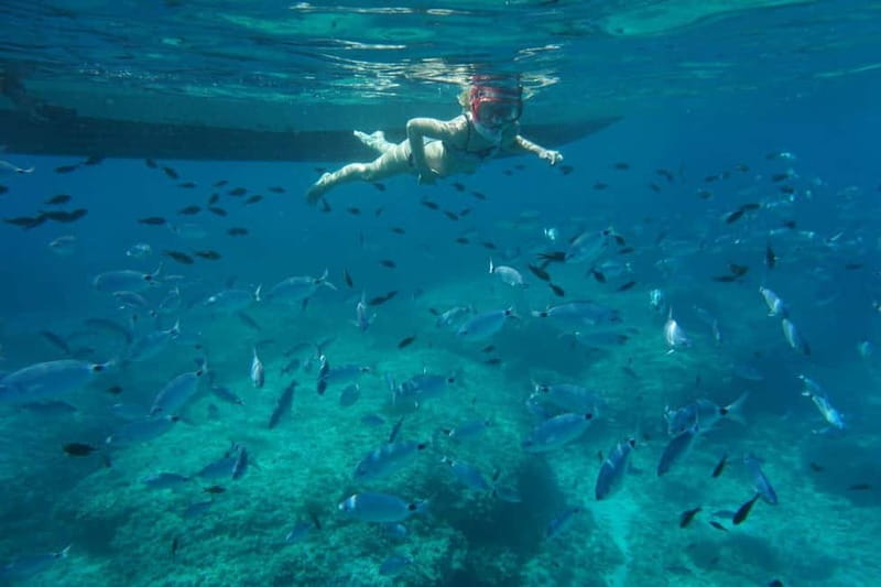Alcudia: Sea Caves Coves and Snorkeling in small groups - Stop 1: Cap Ferrutx Cliffs and the First Swim Mood