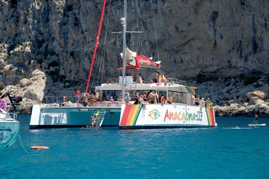 Alcudia: Sunset Catamaran Tour with Dinner and Snorkeling - Practical tips so your 4.5 hours feel smooth
