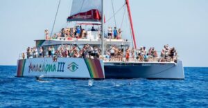 Alcudia: Sunset Catamaran Tour with Dinner and Snorkeling - Setting sail toward the north of Mallorca in evening light