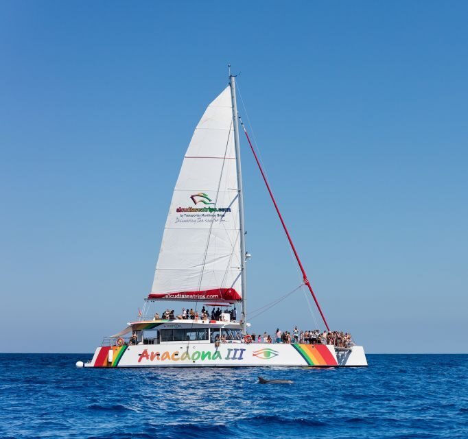 Alcudia: Sunset Catamaran Tour with Dinner and Snorkeling - Who this Alcúdia catamaran suits best