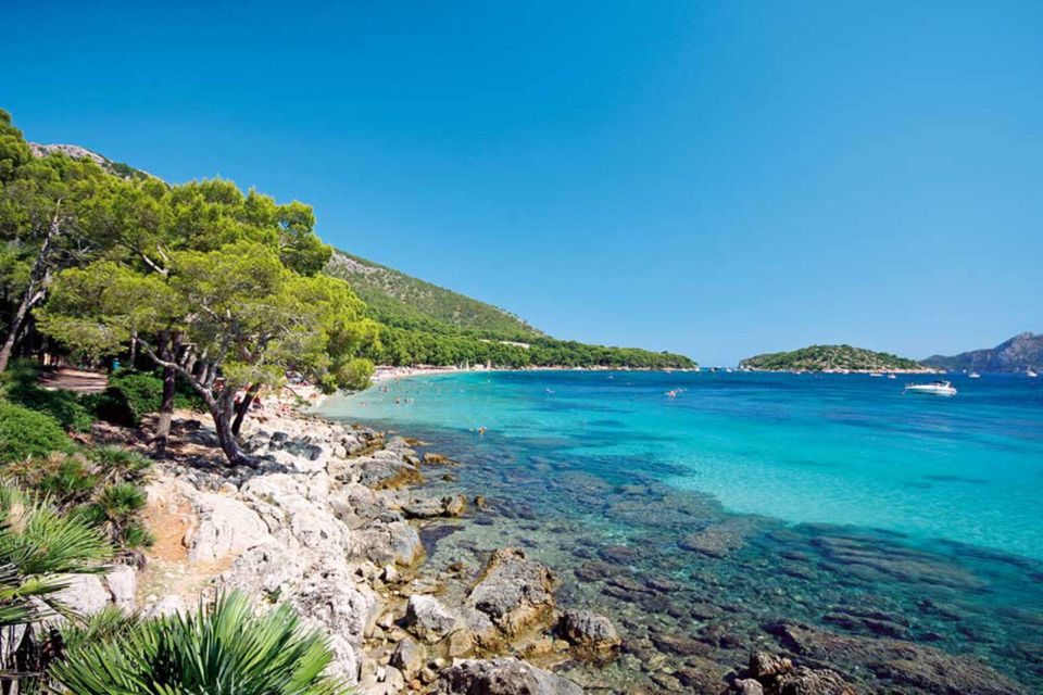 Alcudia: Trip to Formentor Beach - Practical tips: what to bring and how to stay comfortable