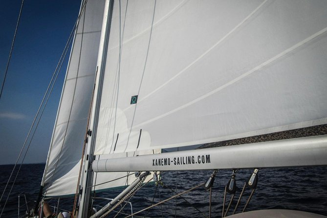 All inclusive day sailing tour from Naxos to the small cyclades - Sailing time and deck relaxation: the real luxury