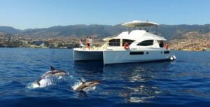 All Inclusive Whale and Dolphin Watching Luxury Tour - The catamaran setup: where you’ll actually want to sit