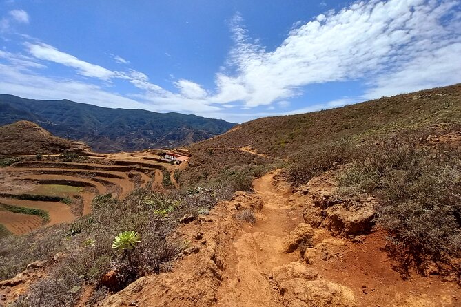 Amazing Anaga - Laurisilva: the ancient laurel forest you can actually understand