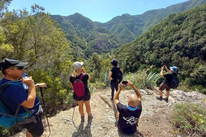 Amazing Anaga - Sea views and hidden learning: flora, fauna, and tiny details