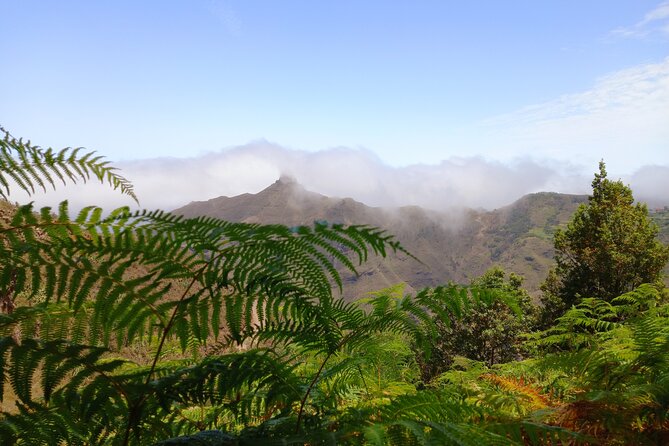 Amazing Anaga - What you should bring (because lunch and gear are not included)